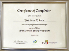 Brain Cervical Spain Body System
(カイロプラクター) 