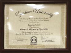 Egoscue University Postural Alignment Specialist