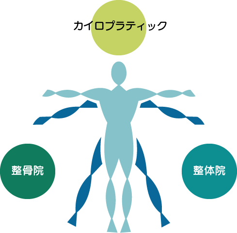 整骨院・整体院とカイロプラクティックの違いのイメージイラスト