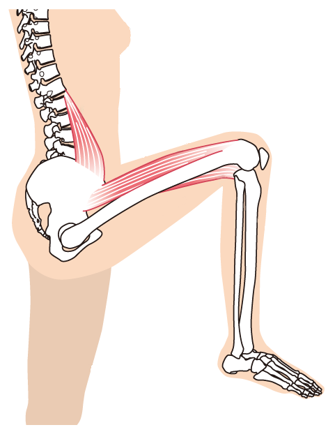 股関節の施術のイメージイラスト